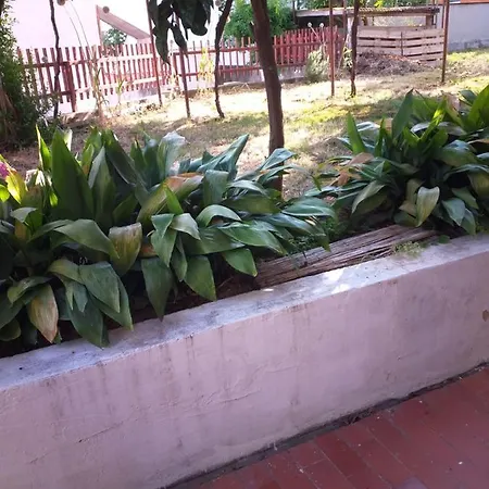 Appartement Obiteljska Kuca Cuic Pula